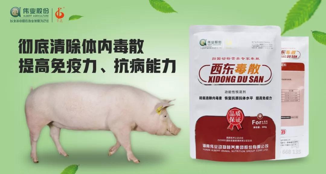 湖南偉業集團,偉業動物,豬場管理,非常規飼料原料開發,飼料