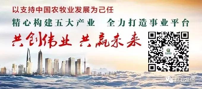 湖南偉業集團,偉業動物,豬場管理,非常規飼料原料開發,飼料