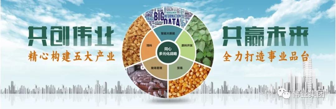 湖南偉業集團,偉業動物,豬場管理,非常規飼料原料開發,飼料