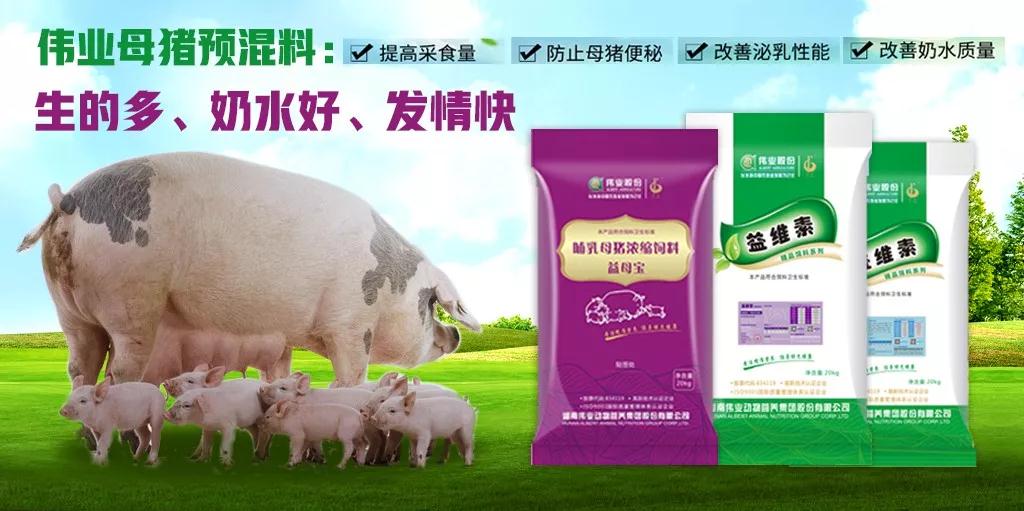 湖南偉業(yè)集團(tuán),偉業(yè)動物,豬場管理,非常規(guī)飼料原料開發(fā),飼料
