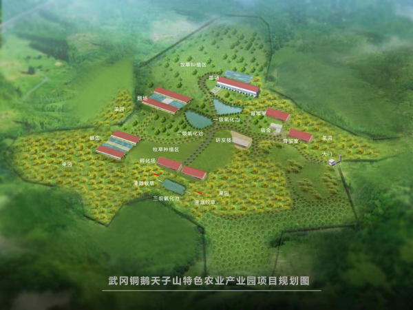 湖南偉業(yè)集團(tuán),偉業(yè)動(dòng)物,豬場(chǎng)管理,非常規(guī)飼料原料開發(fā),飼料